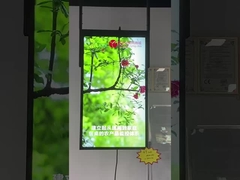 exposição da janela